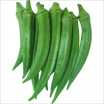 Lady Finger (34)-6020190-90192.webp